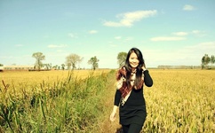 相爱十年全集下载